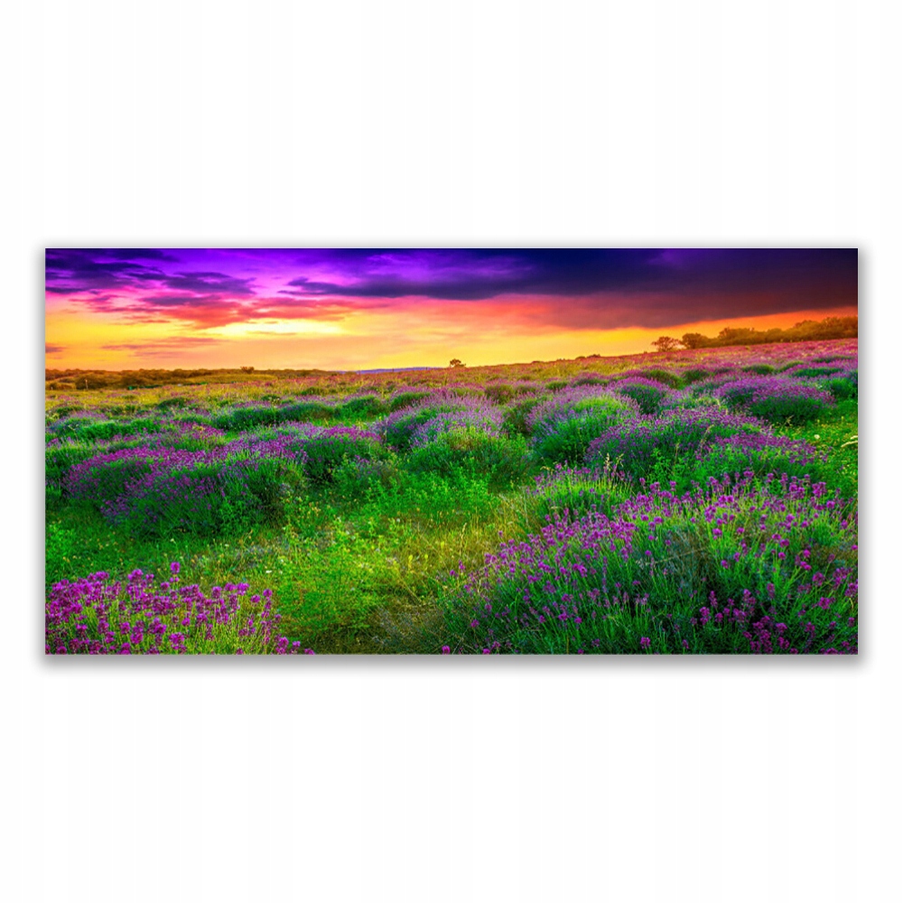 

Fotoobraz akryl wiszący ścienny 140x70 Łąka Natura