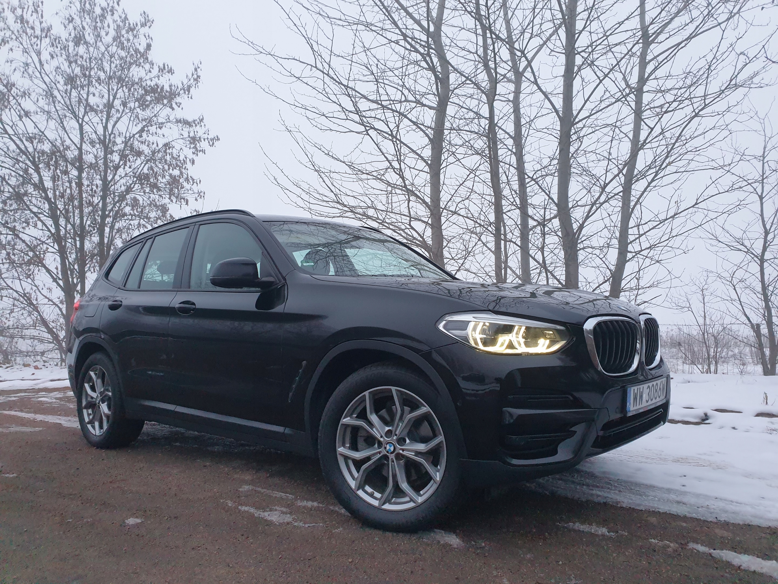 BMW X3 (G01, F97) xDrive 20 d Mild-Hybrid 2020-04