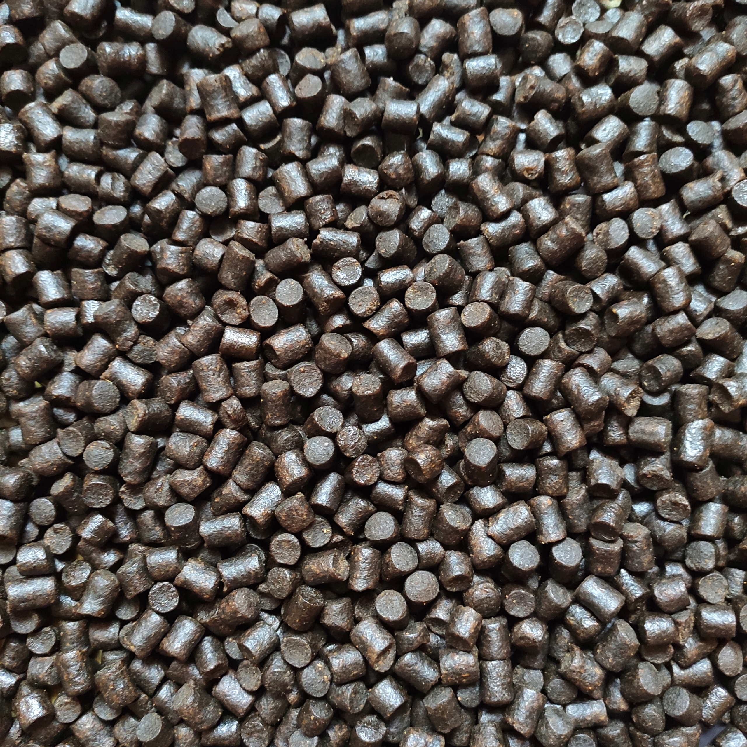Pellet Zanętowy Coppens Premium Halibut 8mm 1kg