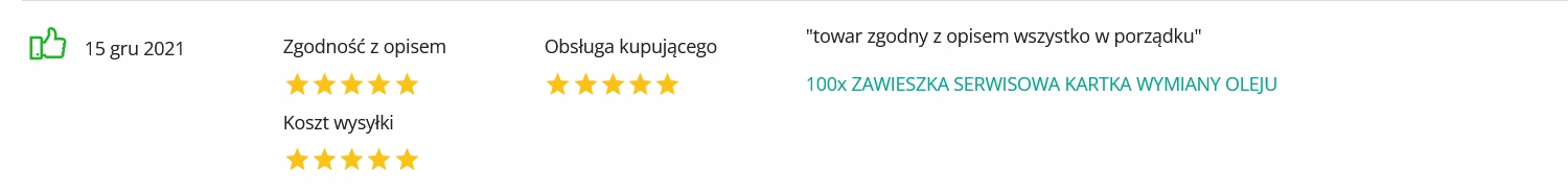 100x ZAWIESZKA SERWISOWA KARTKA WYMIANY OLEJU Tematyka Autobusy Samochody ciężarowe i dostawcze Samochody osobowe Inna