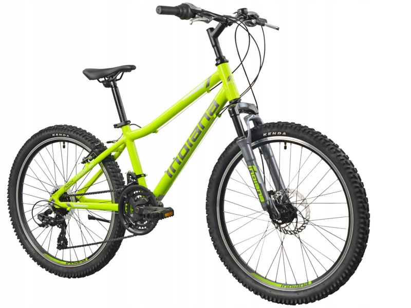 Rower młodzieżowy Indiana Rock Jr 24 cale dla chłopca Limonkowo-szary