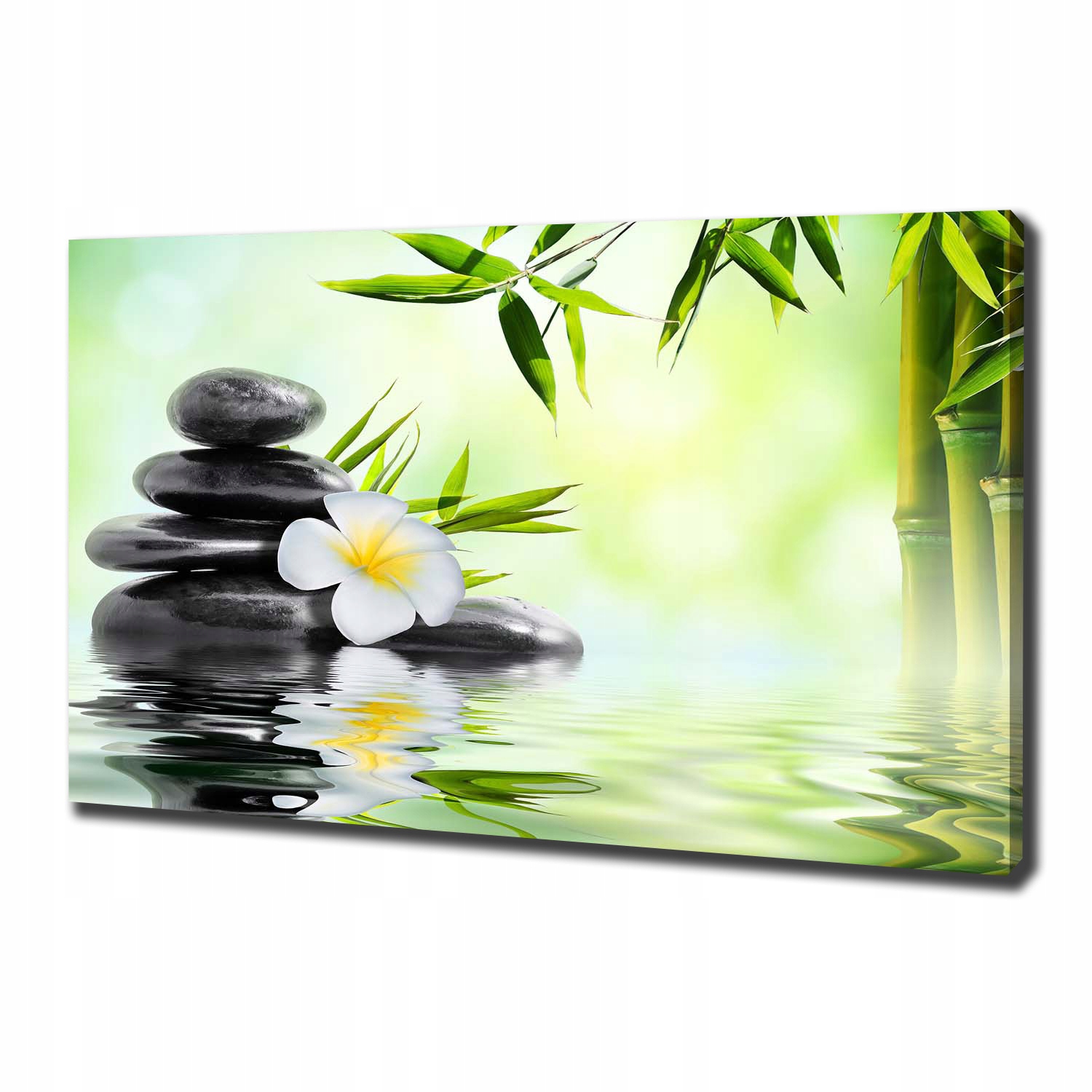 

Foto obraz na płótnie Orchidea i bambus 100x70 cm