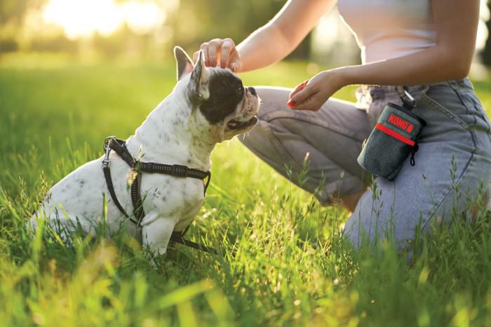 Levně Kong Sáček Na Pamloušky 13,5 x 12,5 cm