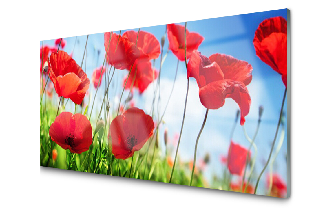 

Panel szklany Płytka Maki Roślina 100x50