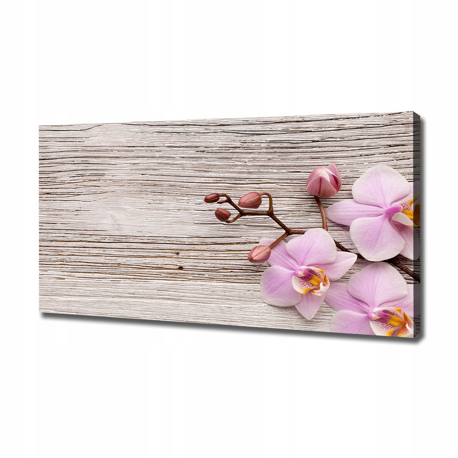 

Foto obraz na płótnie Orchidea na drewnie 120x60cm