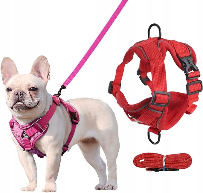 Levně Postroj s vodítkem pro psa reflexní sada 2 kusy růžová červená *L