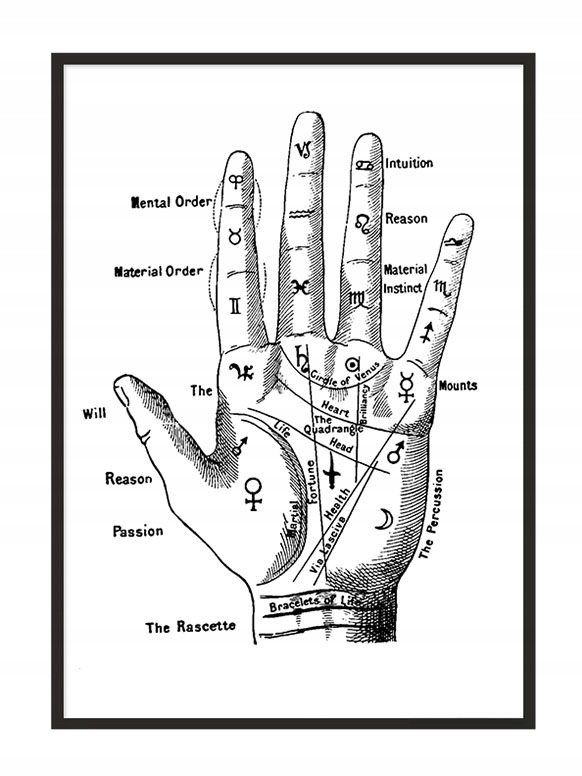 

Obraz Plakat W Ramie 53x73 cm Dłoń P800