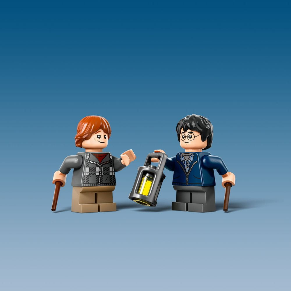 LEGO 76434 HARRY POTTER Aragog w Zakazanym lesie Wiek dziecka 7 lat +