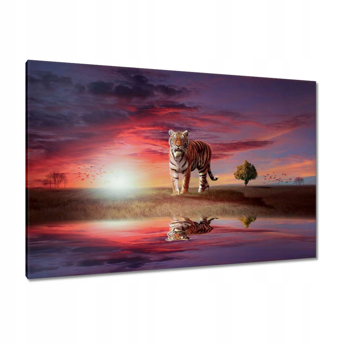 Obrazy 120x80 Tygr