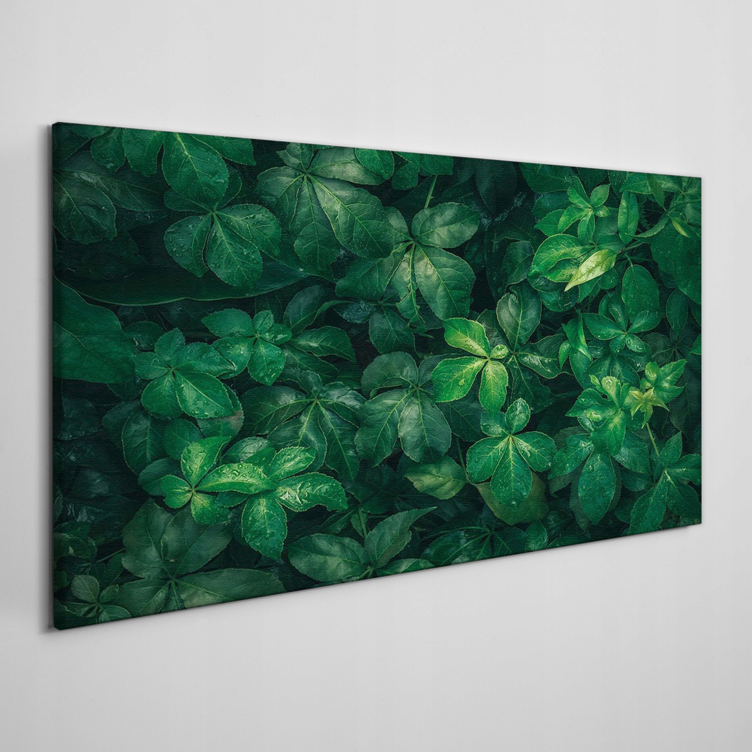 

Obraz na płótnie Kwiatowy liście liść 120x60 cm