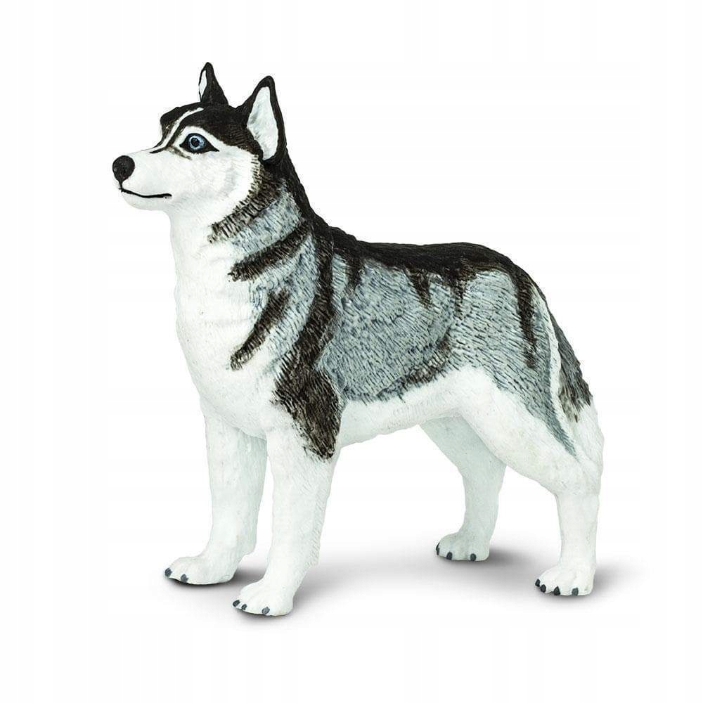 

Pies Husky syberyjski Safari Ltd. 255229