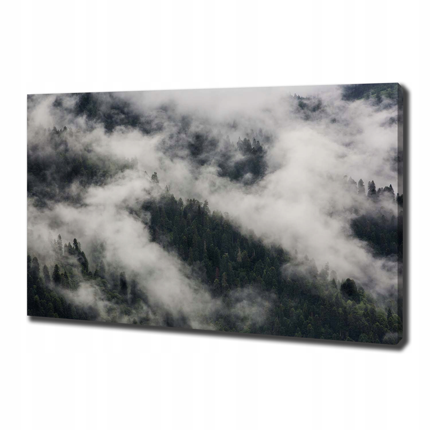 Fotoobraz obraz na plátně Mlha nad lesem 100x70 cm