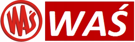 KLOSZ LEWY LAMPY 549 WAŚ URSUS C-360 PRZYCZEPA Producent części WAS