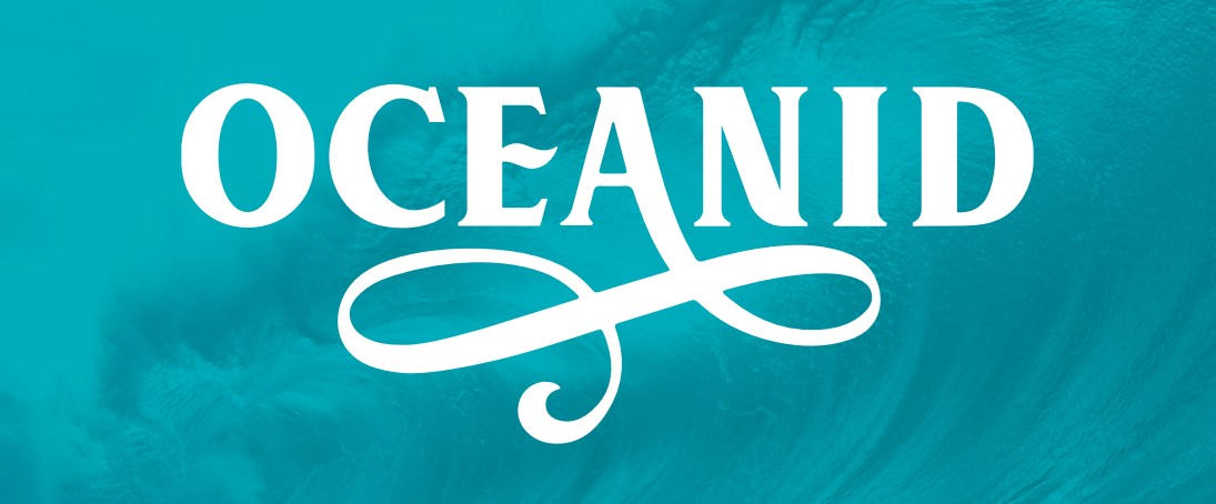 DOZOWNIK PŁYNU OCEANID AJRA CHROM (EA01-01) Pojemność pojemnika 350 ml