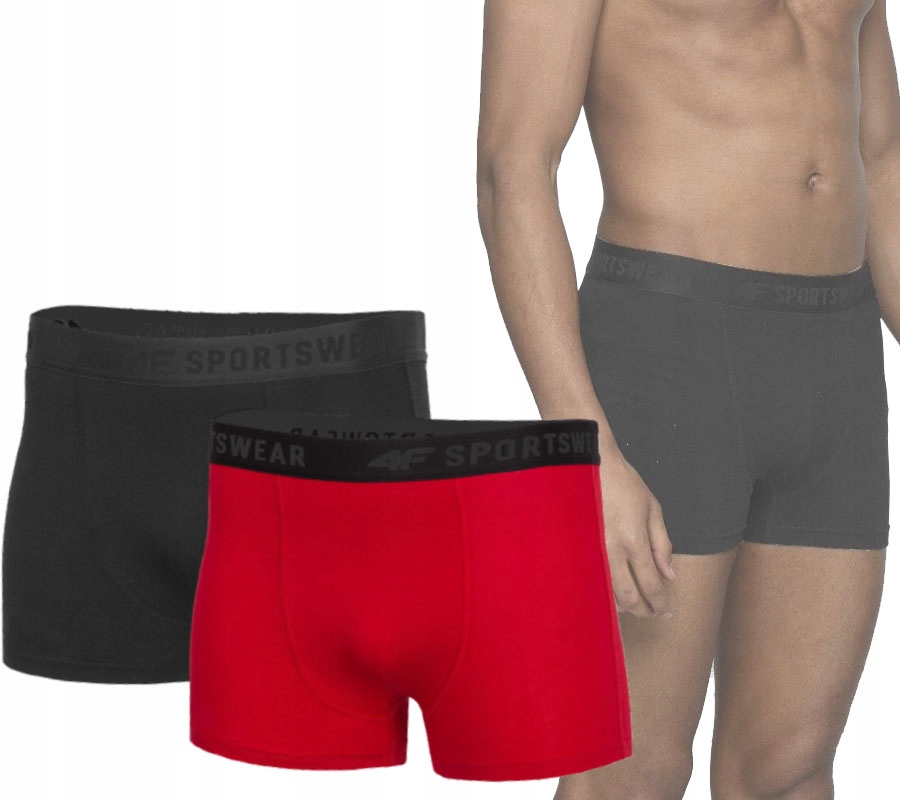 

Bokserki Majtki Męskie 4F 2-pack BIM001 r.M