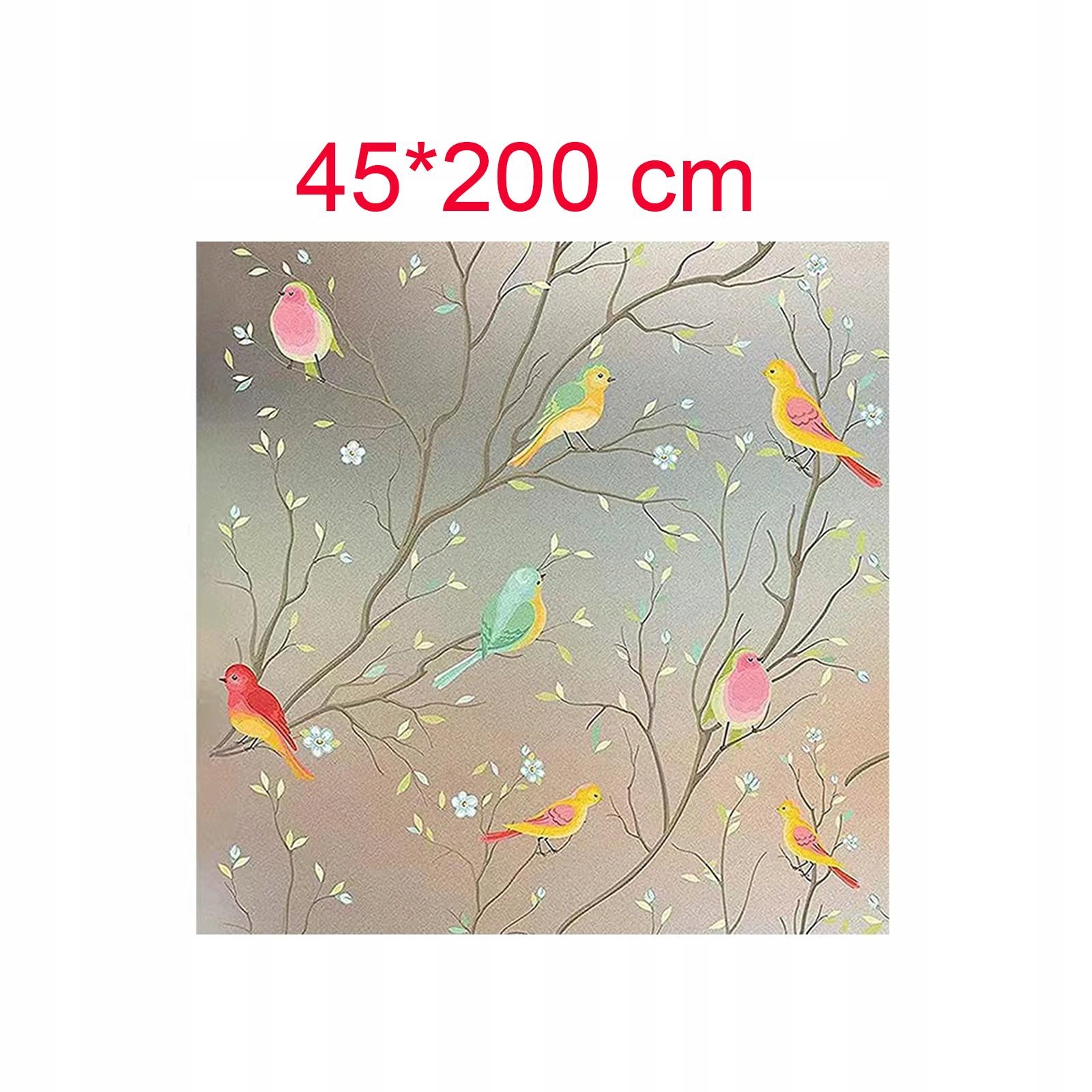 Folia Okienna Ptak Prywatność Folia Okienna 4 Transparentność przezroczysta