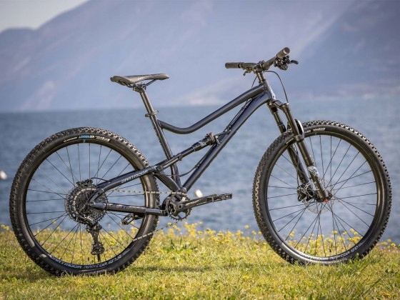 Rower Dartmoor Bluebird Intro, Mullet, Steel Blue mat, L + eBON 200zł Pedały platformowe