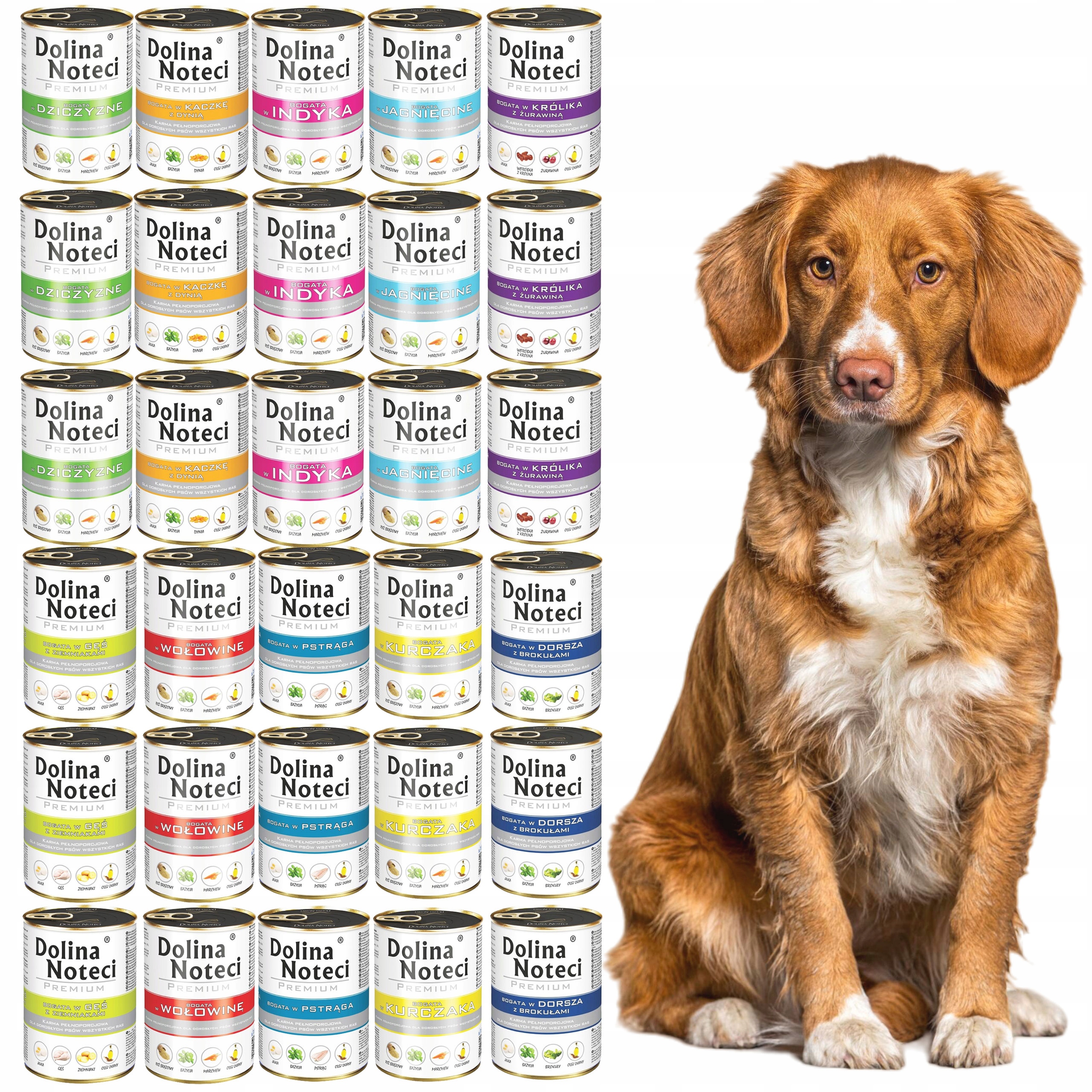 Levně Dolina Noteci Premium Krmivo pro psa mix chutí 30 x 400 g