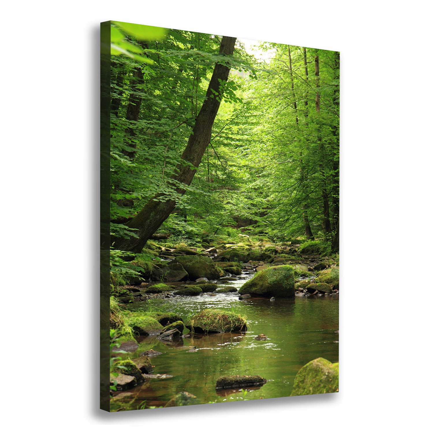 

Foto obraz canvas na ramie Rzeka w lesie 70x100 cm