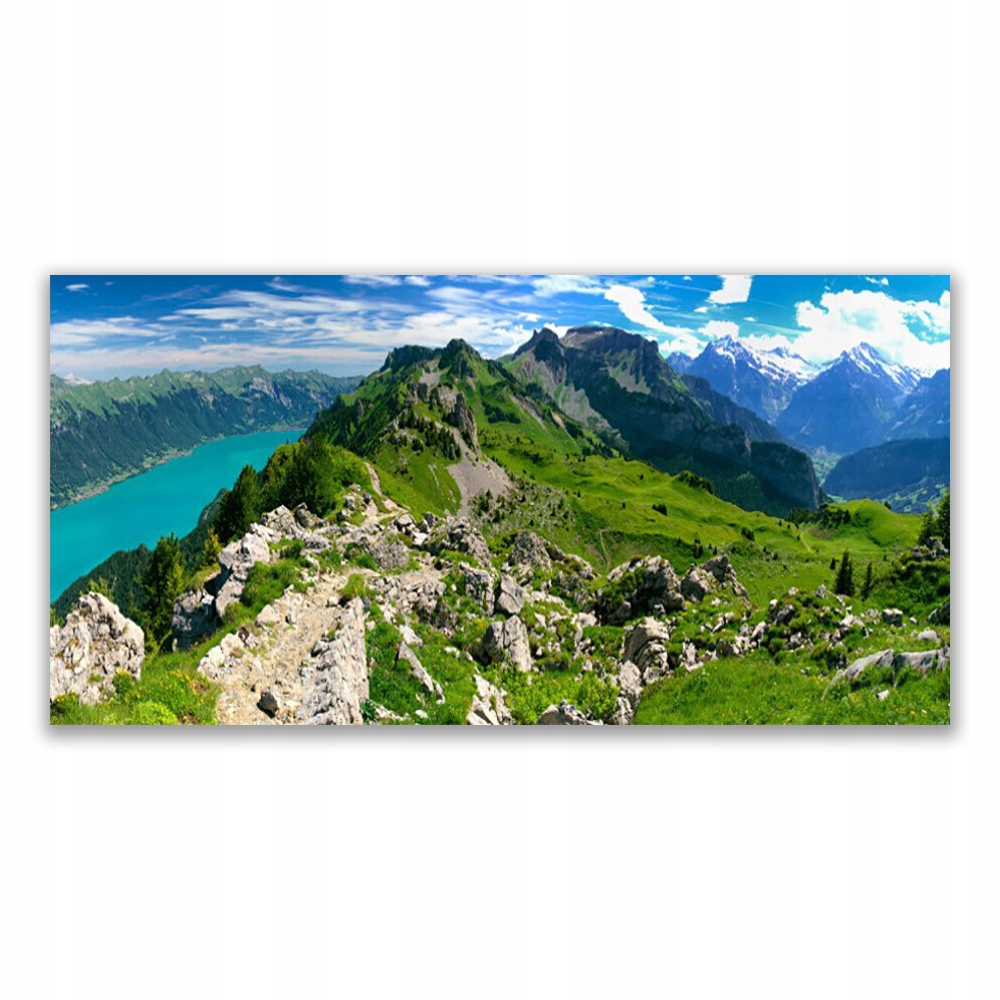 

Obraz na ścianę 120x60 Łąka Góry Krajobraz Natura
