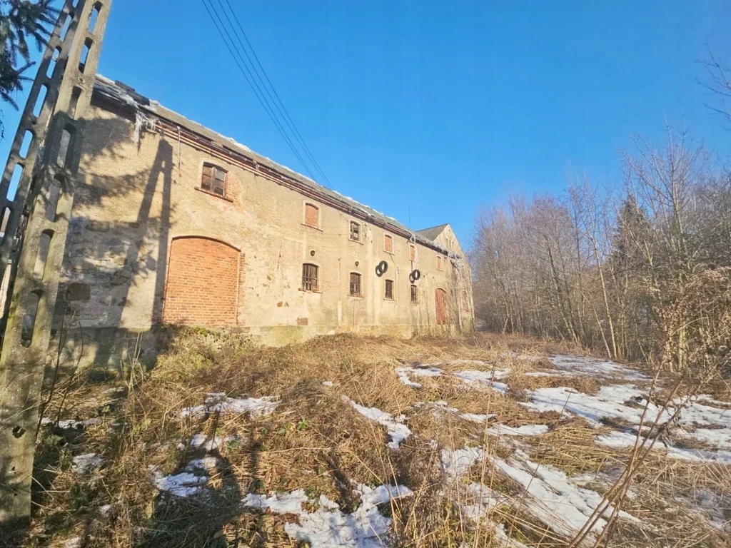 Dom, Czernica, Jeżów Sudecki, Karkonoski, 350 m²