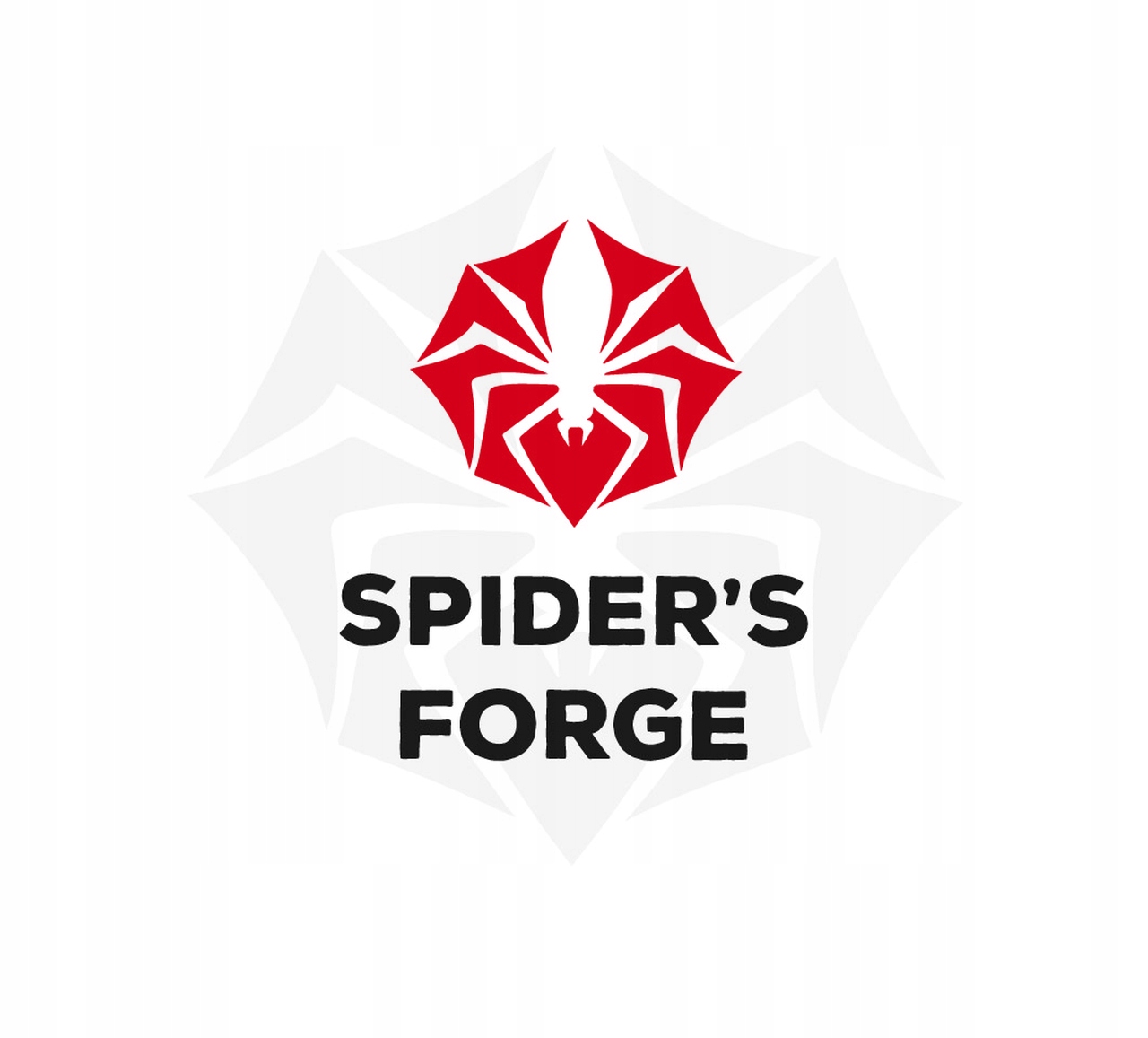 Terrarium szklane 10x10x20 (SpidersForge) Marka inna