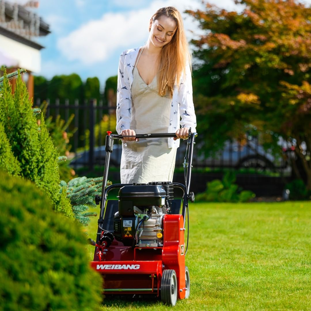 WEIBANG WB384 WERTYKULATOR SPALINOWY TRAWY PROFI Briggs Stratton 38cm Stan opakowania oryginalne