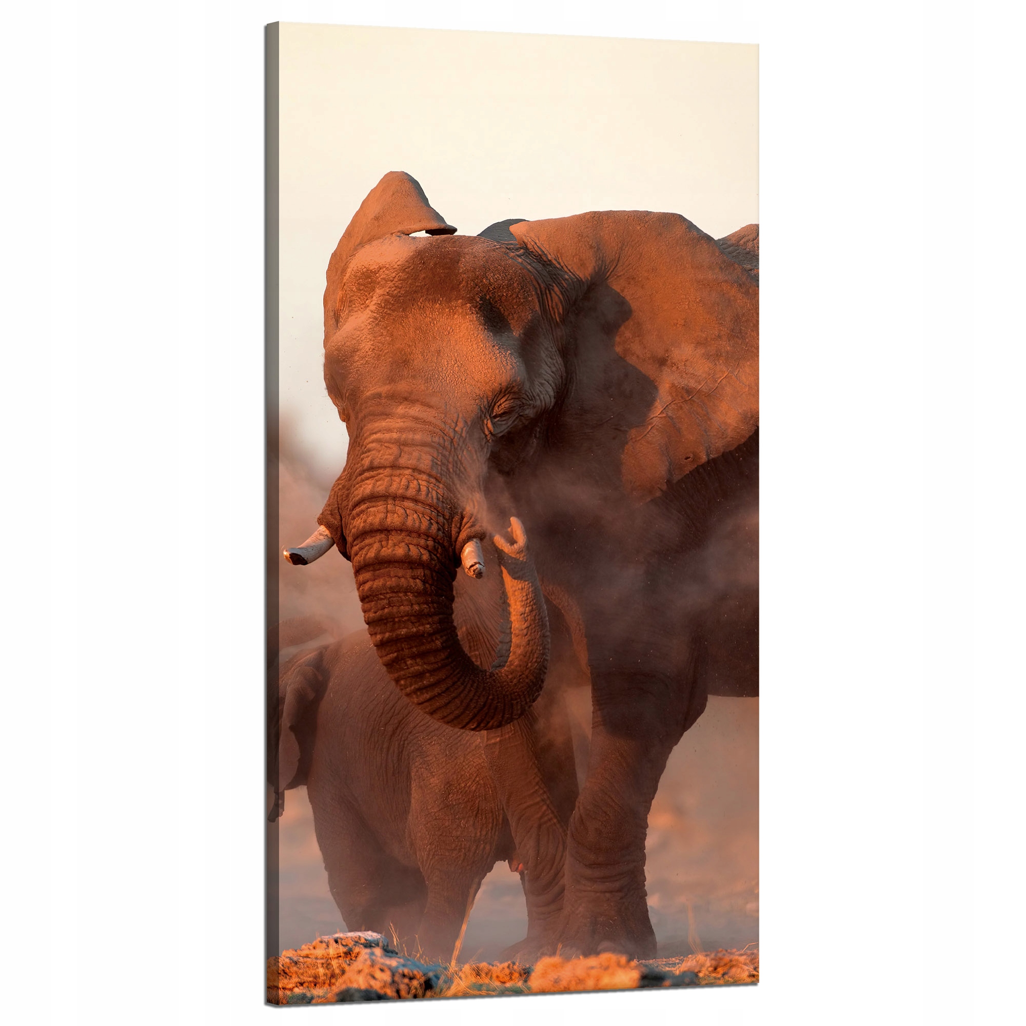 Obraz na plátně Sloni Oranžové nebe Kouř Umění 60x120 cm