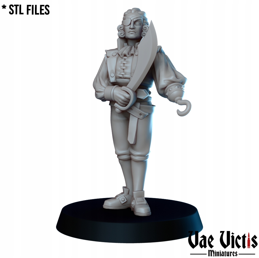 Fancy Pirate 02 - x1 - 3dmonkeypl