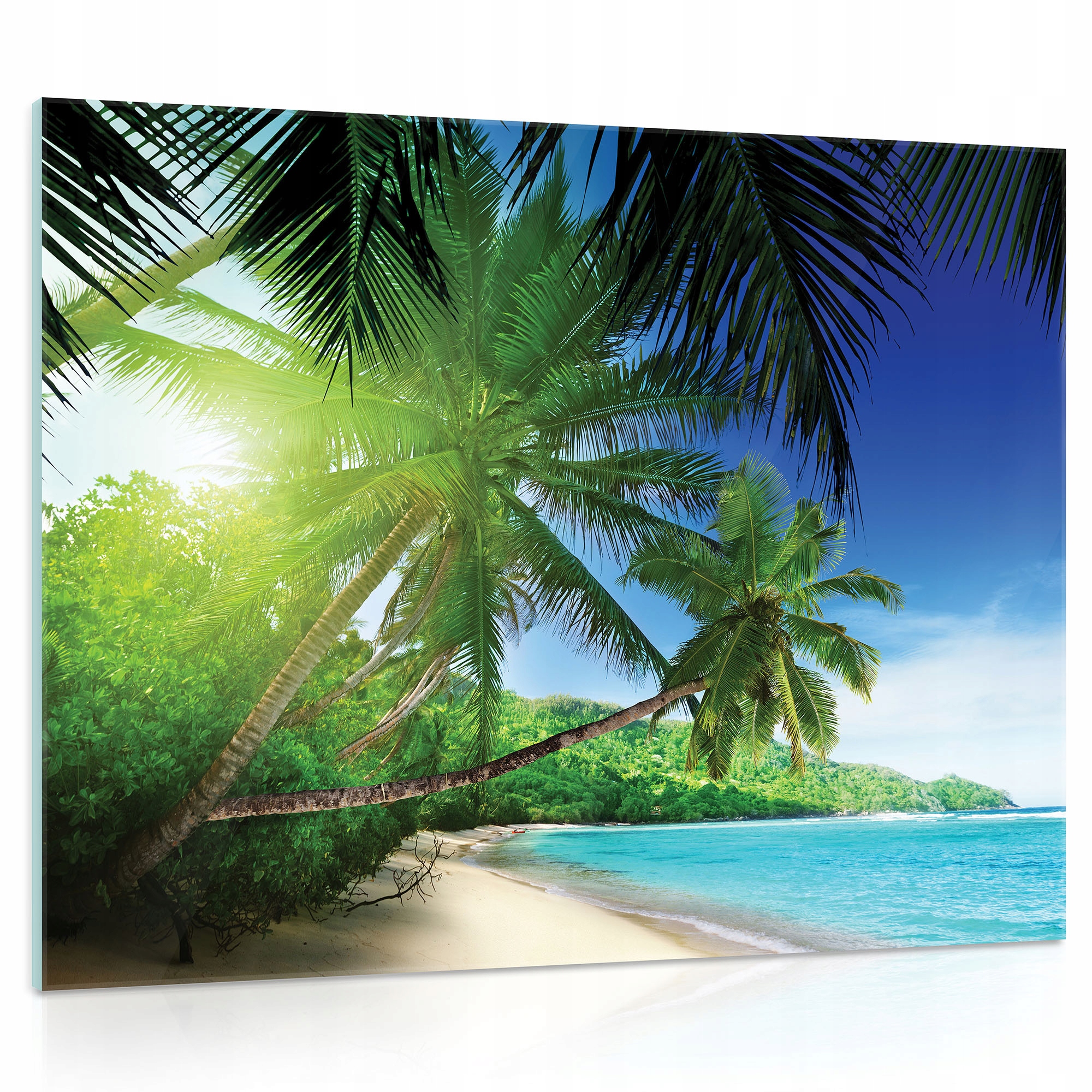Skleněný obraz na skle Pláž Mrze Palmy 3D 80x60