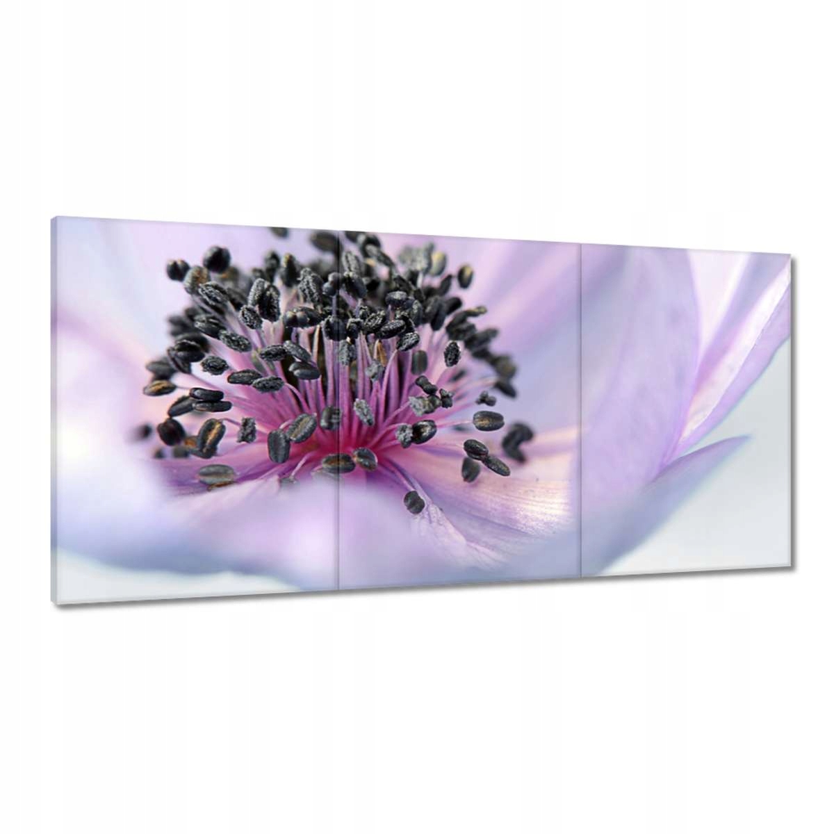 Obrazy 180x90 Jemné tyčinky