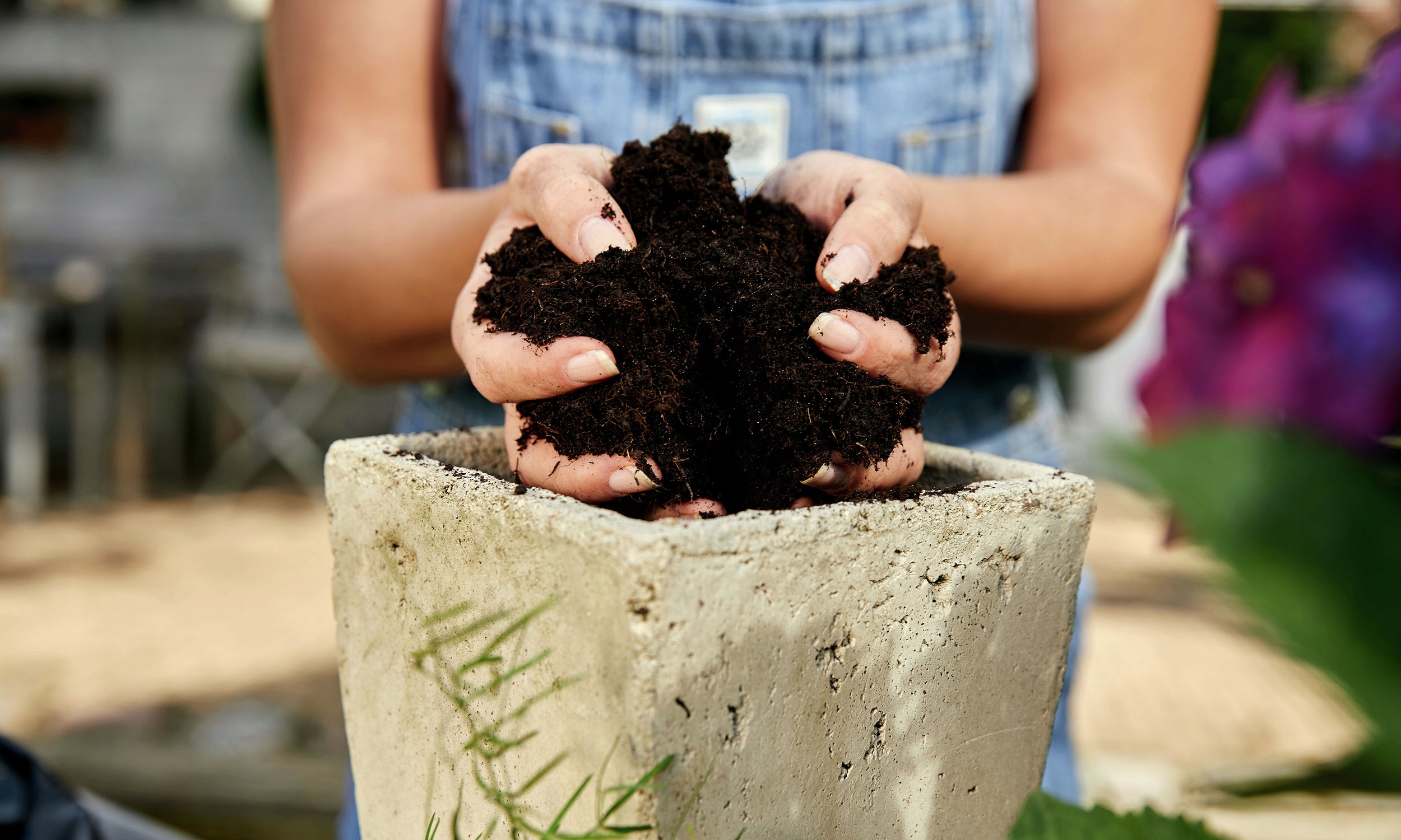 ZIEMIA do roślin ZIELONYCH palm monstera COMPO 20L Marka Compo