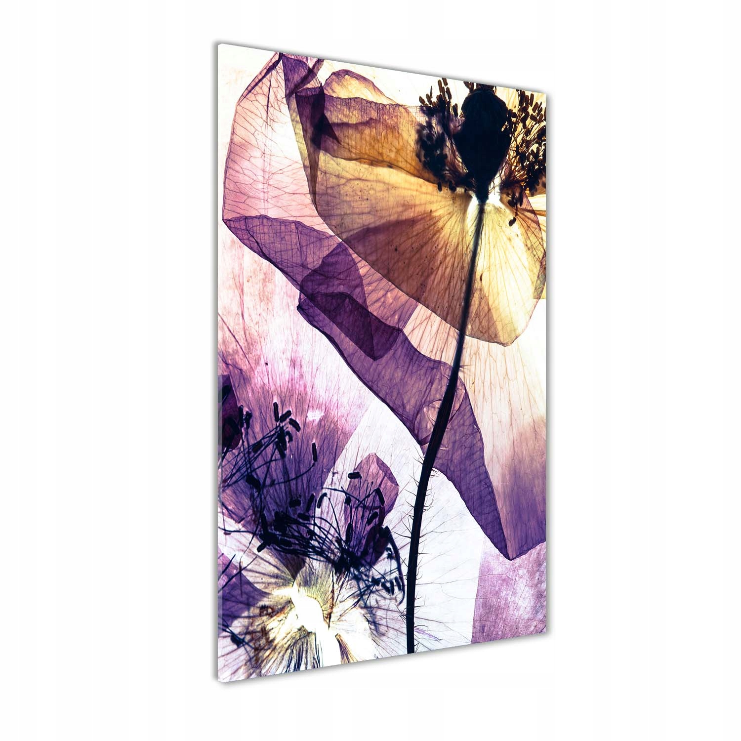 Moderní fotoobraz na zeď Maki 60x120 cm