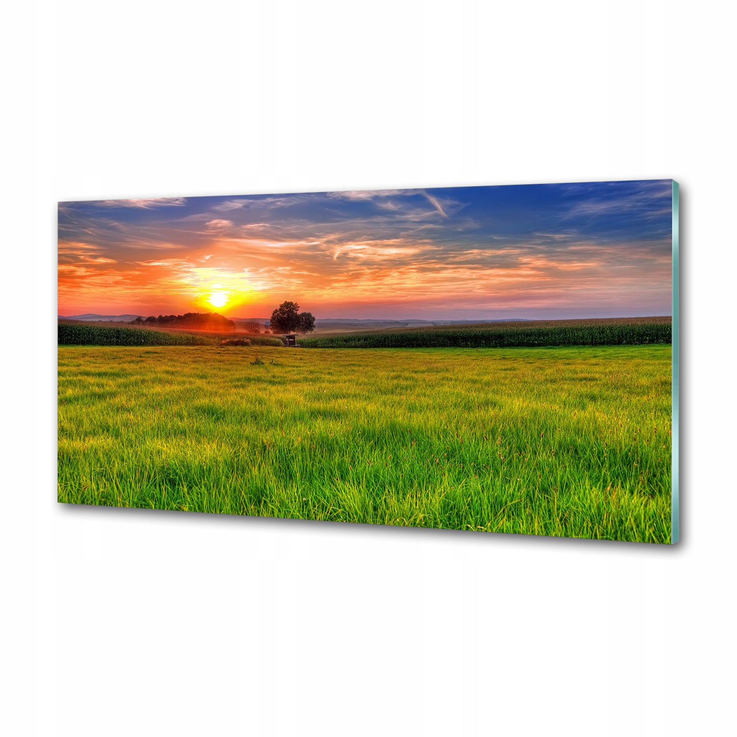 Panel do kuchyne Západ slnka lúka 100x50 Lepidlo