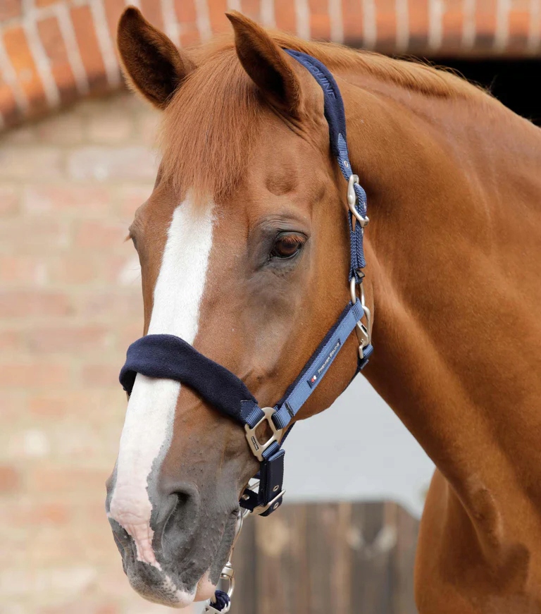 Uzda pro koně Premier Equine Fleece podšitý fleecem, tmavě modrý Cob