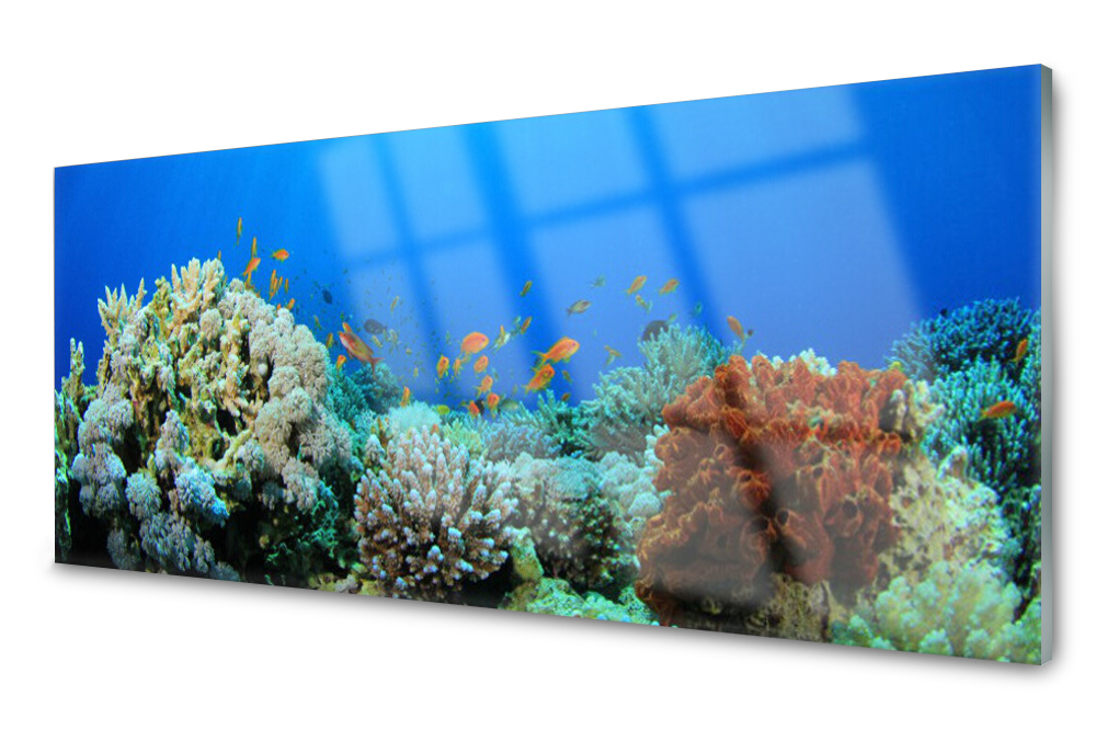 

Panel szklany do kuchni Rafa Koralowa 125x50