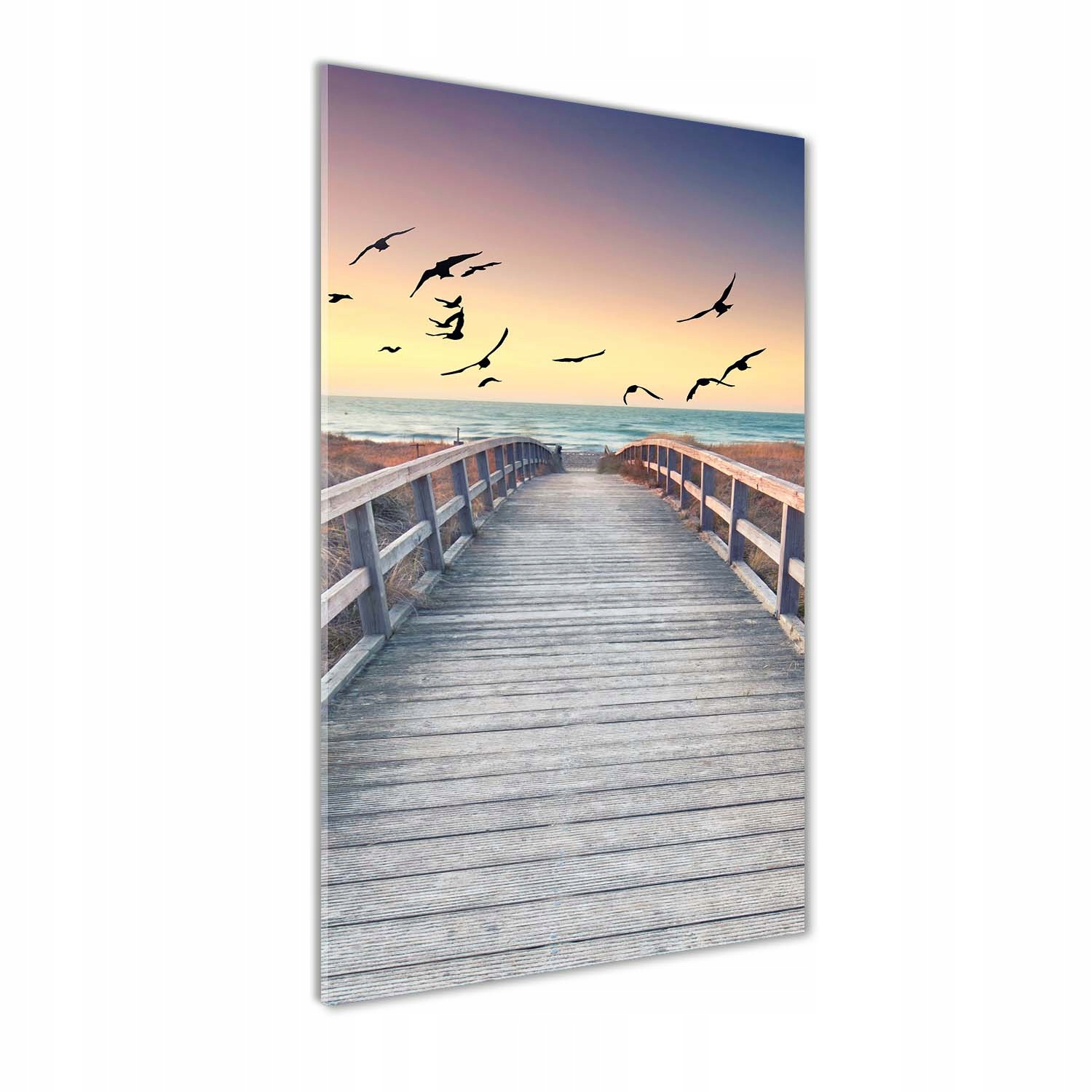 

Foto obraz szkło akrylowe Ścieżka na plażę 70x140