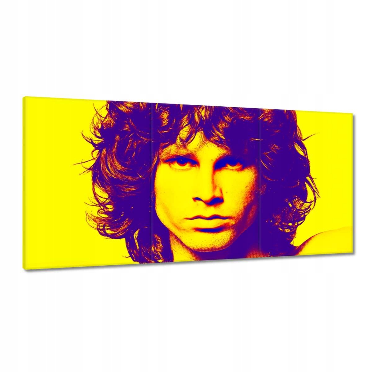 Obrazy 180x90 Frontman z The Doors