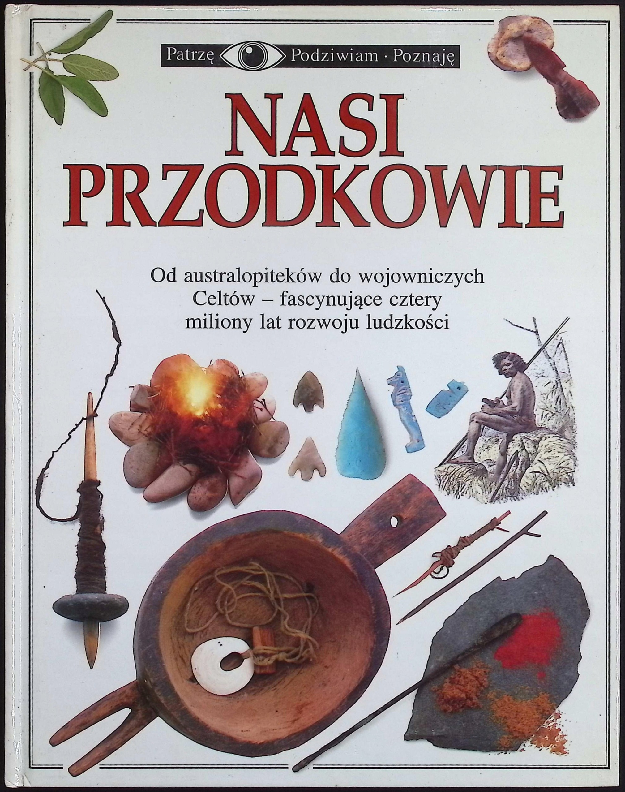 Nasi Przodkowie patrzę podziwiam poznaję