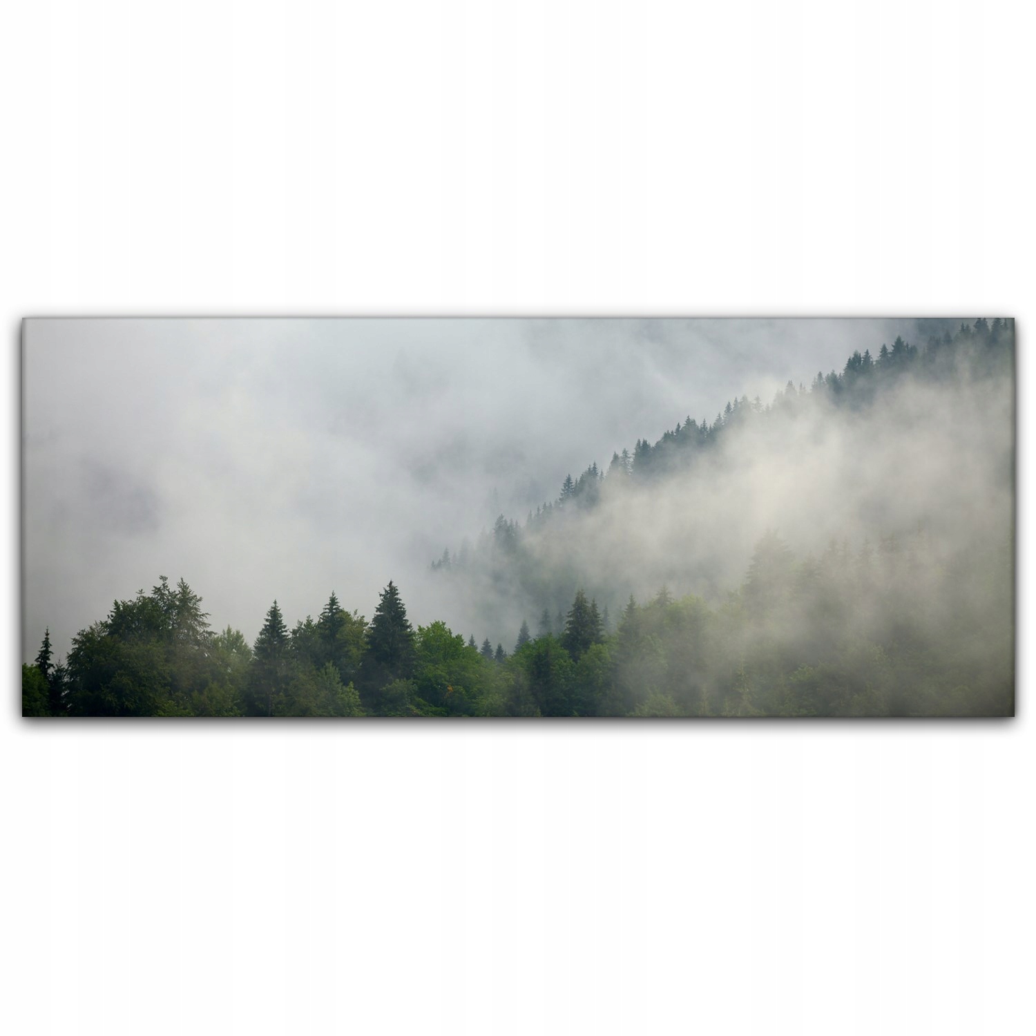 

Canvas na ramie na ścianę 125x50 Mgła Las Drzewa