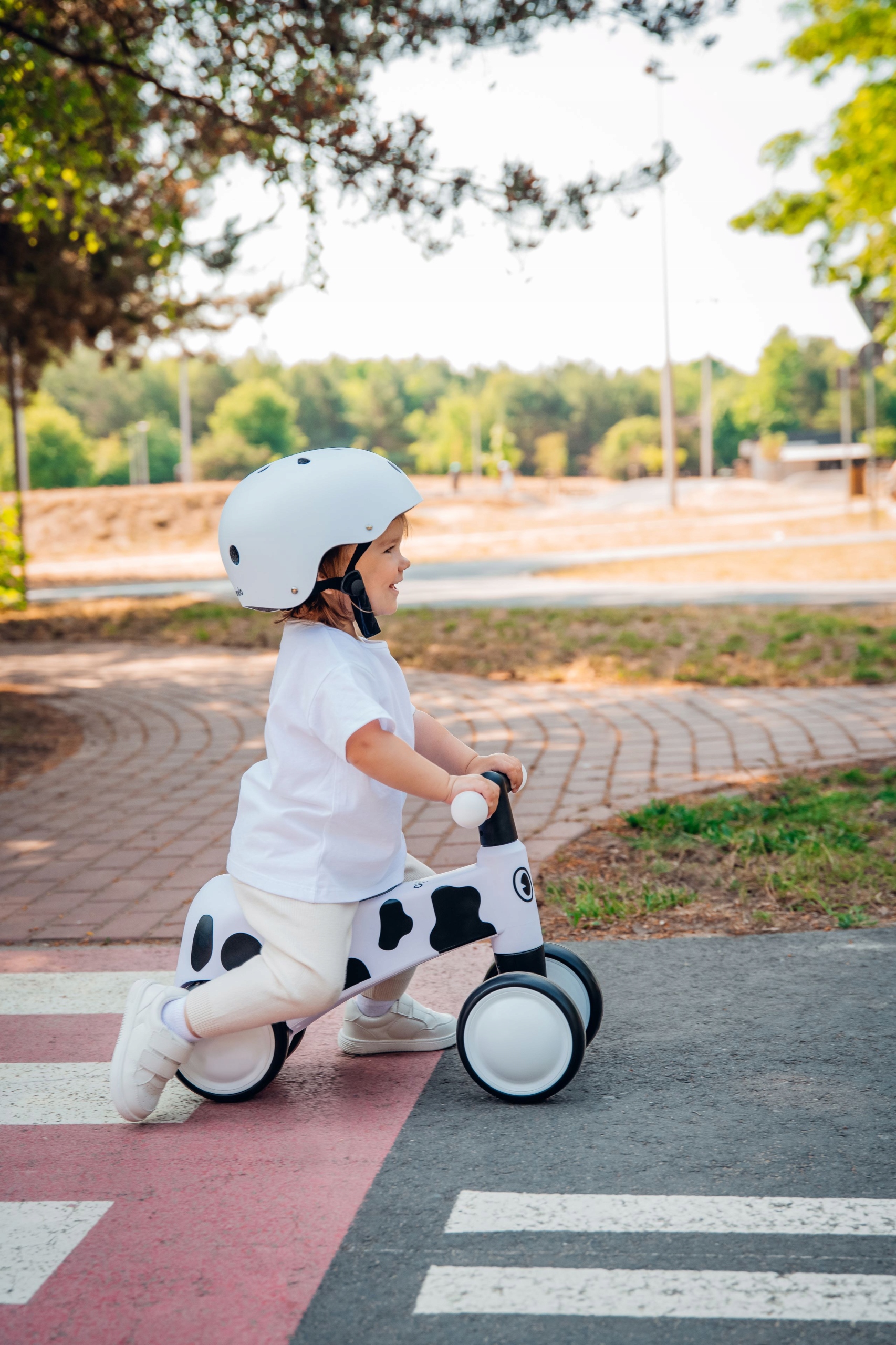 Jeździk chodzik rowerek biegowy dla dzieci PREZENT NA ROCZEK Lionelo SAMMY Rozmiar koła w calach 6