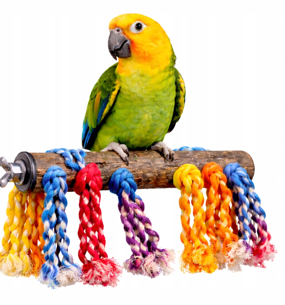 Žerď z kaktusu s hračkami II – Odpočinek a zábava pro velké papoušky