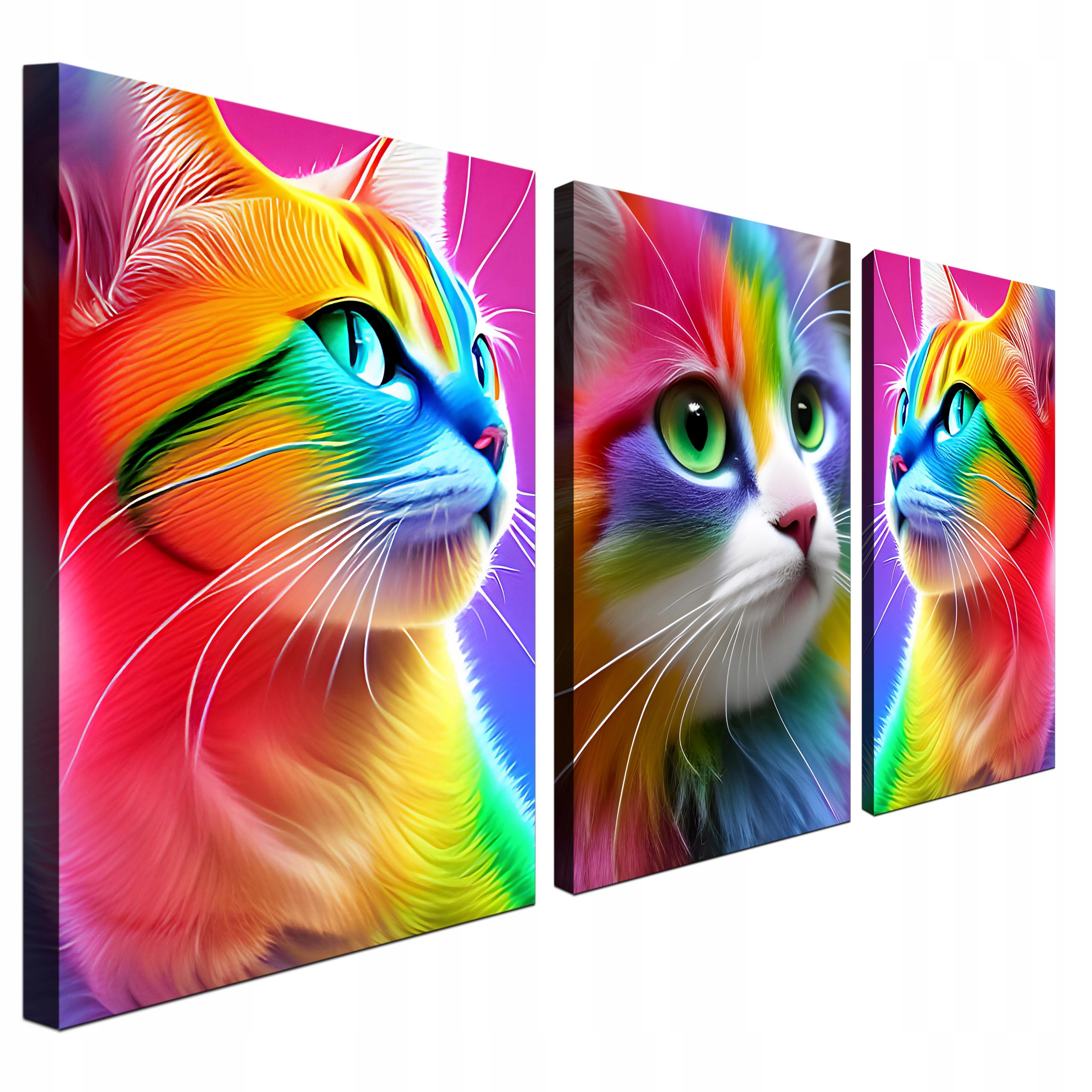

Obraz 3 częściowy tryptyk kolorowe koty 120x60