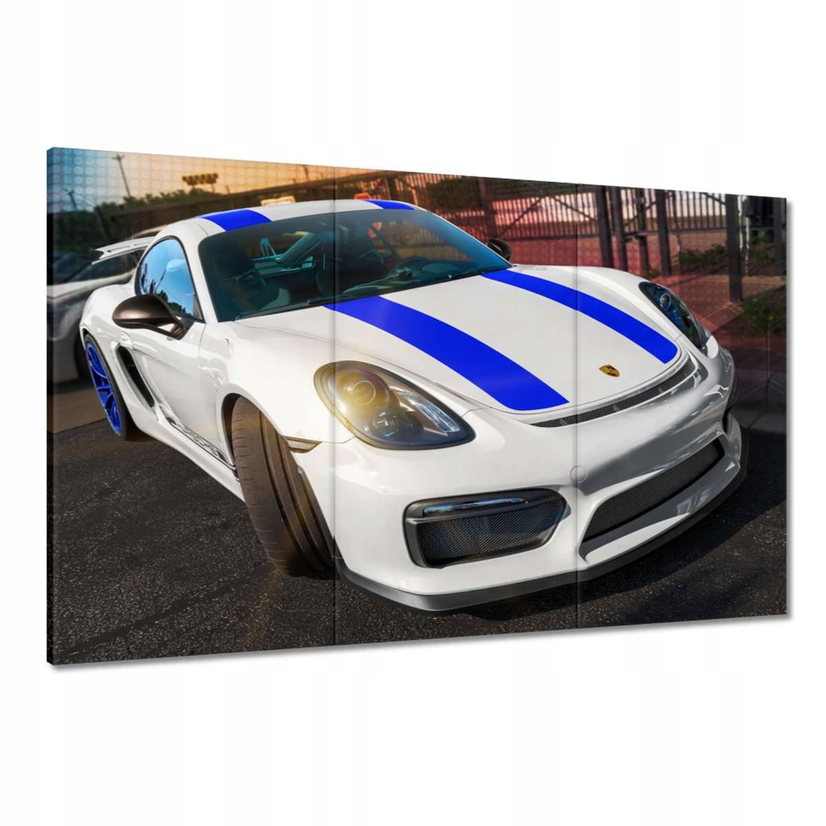 Obrazy 120x80 Porsche Vayman GT4