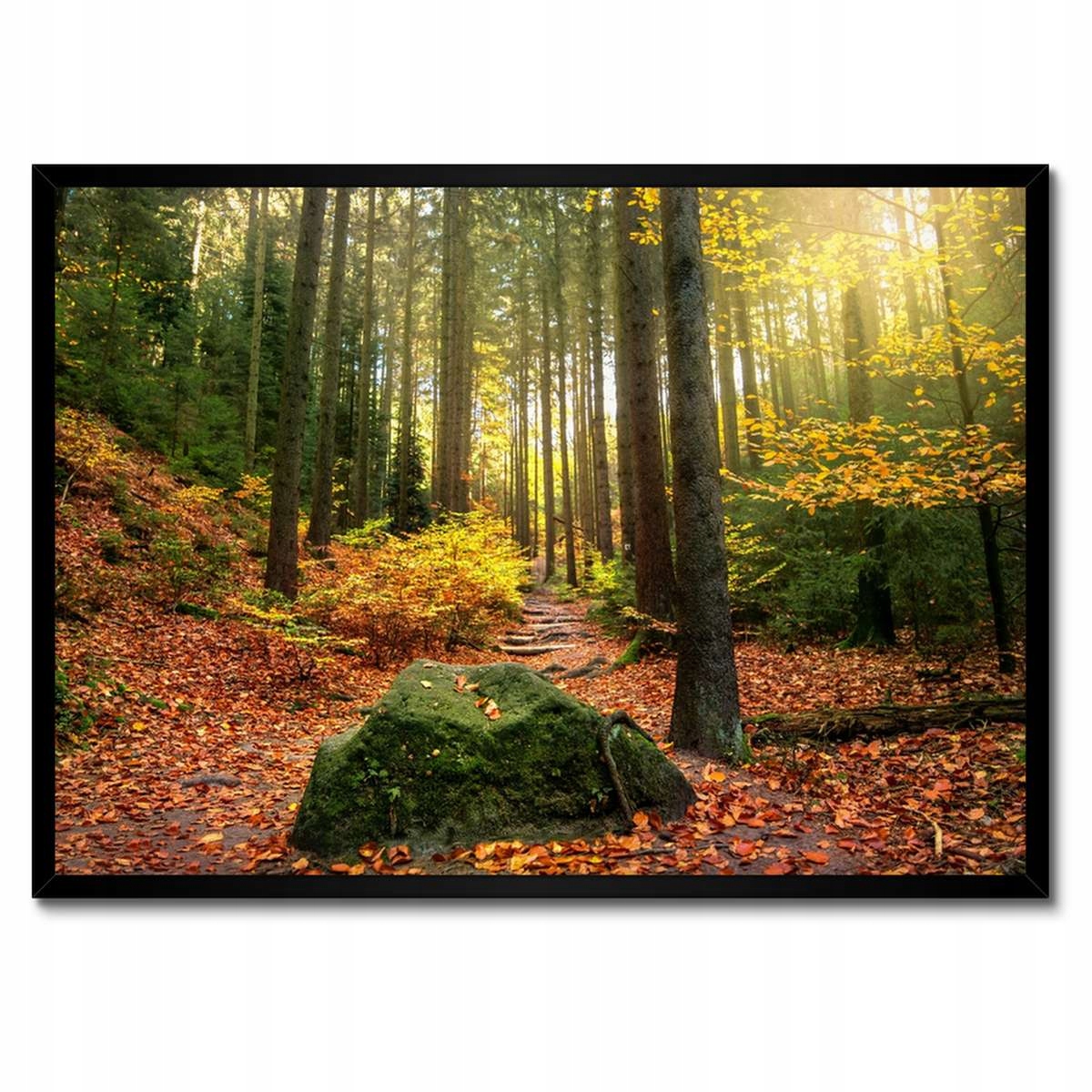 Plakáty v rámu 70x50 Krajina