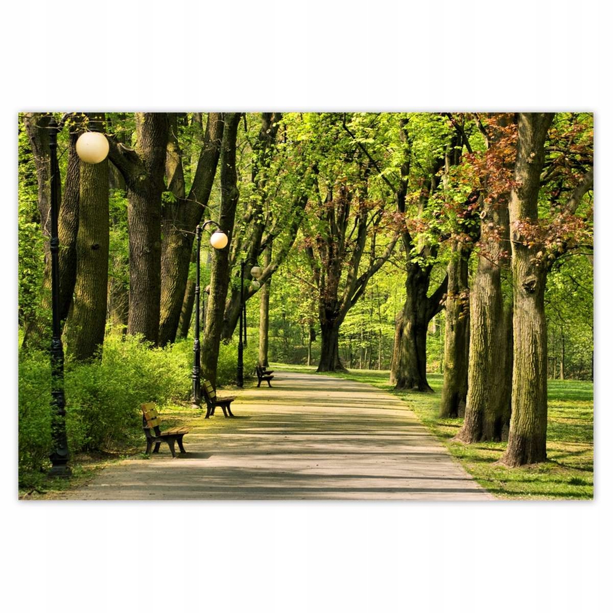 Plakáty 200x135 Park Citadela