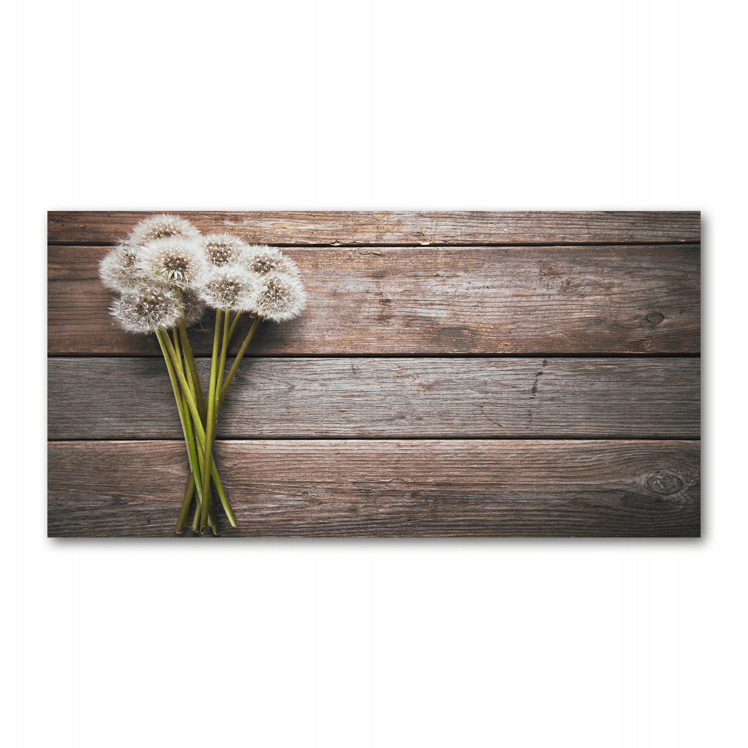 

Foto obraz szklany Dmuchawce drewno 140x70