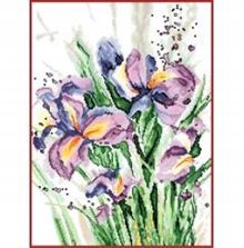 Kanva s potiskem sada (kanva, mulina)