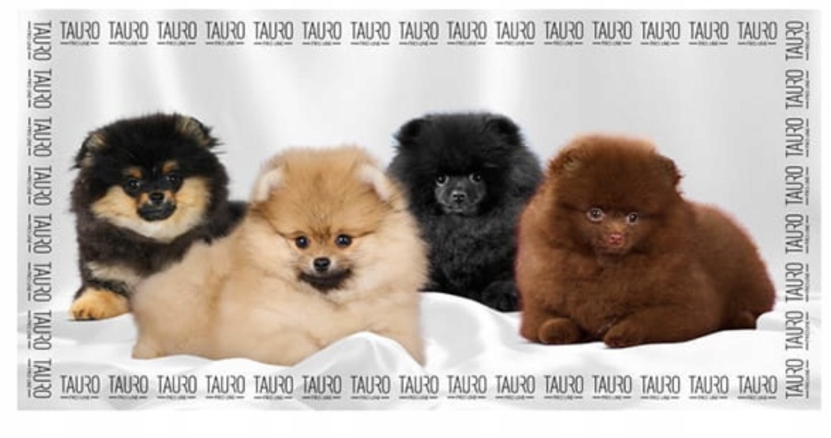 Levně Tauro Pro Line Ručník z mikrovlákna pro psy 80 x 160 cm, vzor: pomeraniany