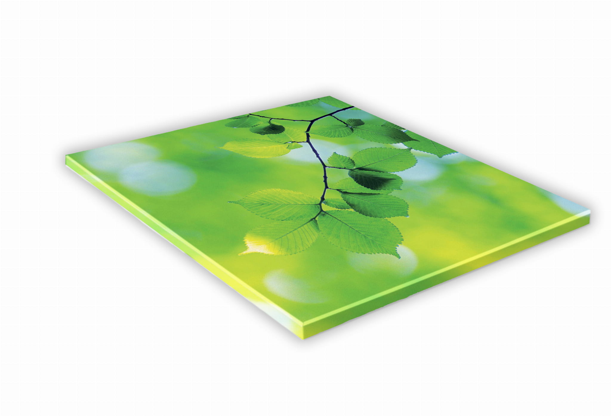 

Szklana Deska Kuchenna 25x25 455e Gałązka